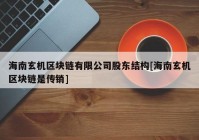 海南玄机区块链有限公司股东结构[海南玄机区块链是传销]